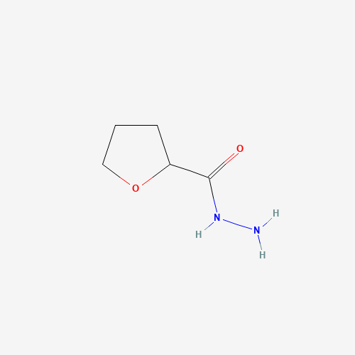 Tetrahydrofuran-2-carbohydrazide