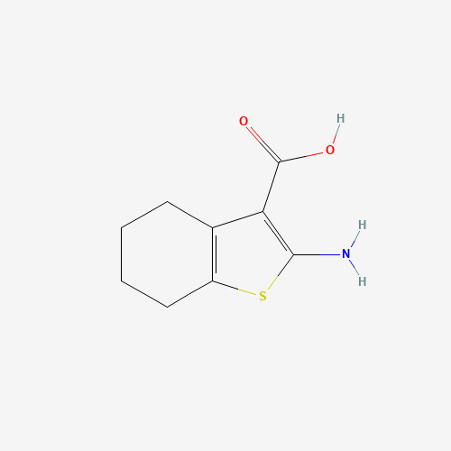 2-Amino-4,5,6,7-tetrahydrobenzo[b]thiophene-3-carboxylic acid