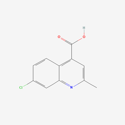 7-Chloro-2-methylquinoline-4-carboxylic acid
