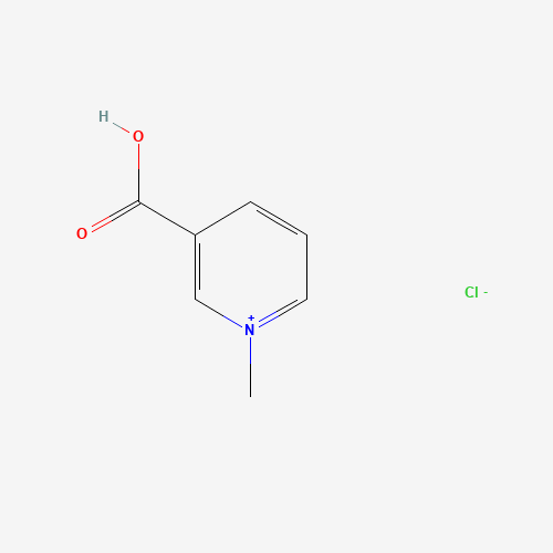Trigonelline HCl