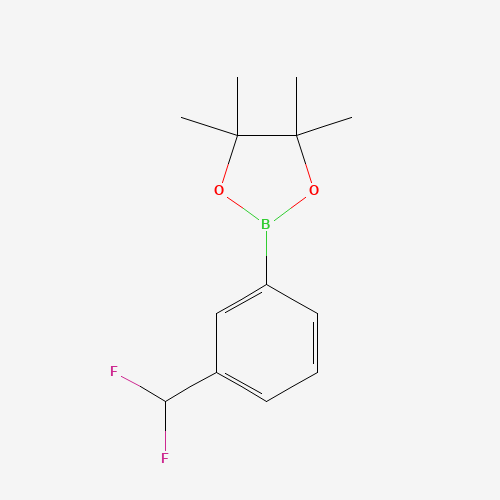 2-(3-(Difluoromethyl)phenyl)-4,4,5,5-tetramethyl-1,3,2-dioxaborolane