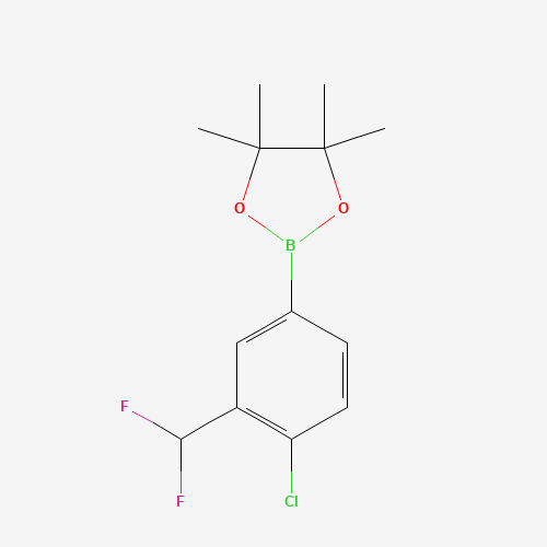 2-(4-Chloro-3-difluoromethylphenyl)-4,4,5,5-tetramethyl-[1,3,2]dioxaborolane