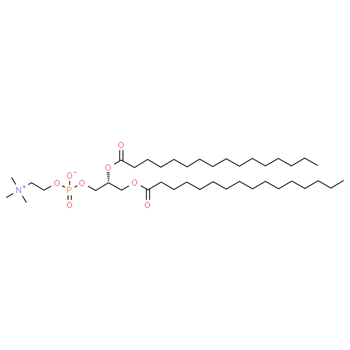 (R)-2,3-Bis(palmitoyloxy)propyl (2-(trimethylammonio)ethyl) phosphate