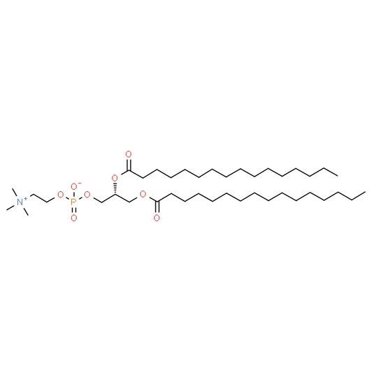 DPPC