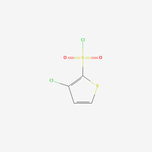3-Chlorothiophene-2-sulfonyl chloride