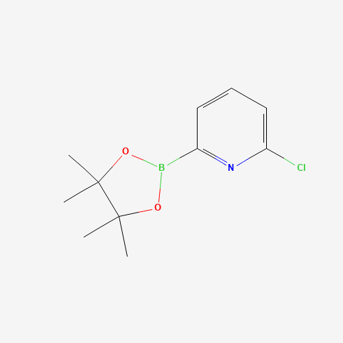 2-Chloro-6-(4,4,5,5-tetramethyl-1,3,2-dioxaborolan-2-yl)pyridine