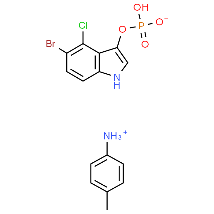 BCIP