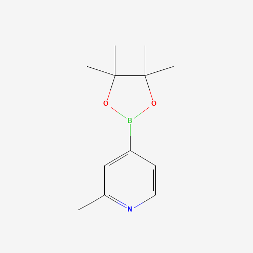 2-Methyl-4-(4,4,5,5-tetramethyl-1,3,2-dioxaborolan-2-yl)pyridine