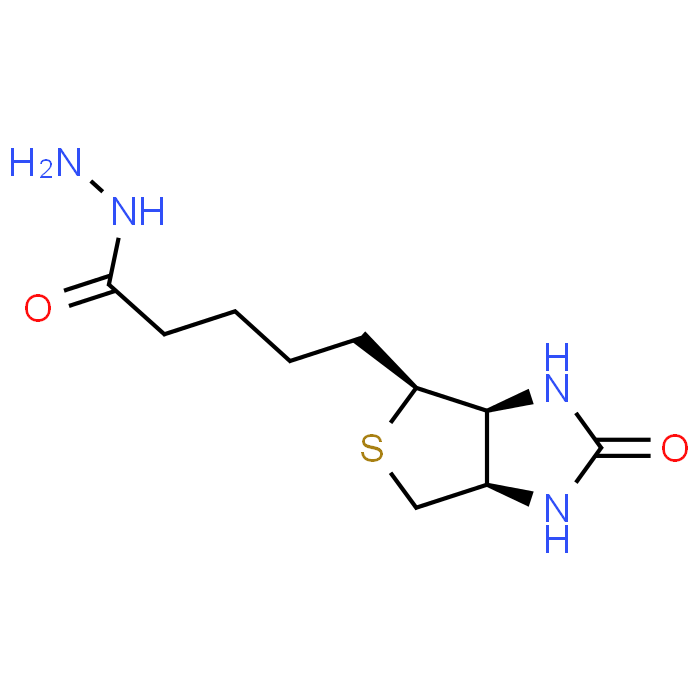 5-((3aS,4S,6aR)-2-Oxohexahydro-1H-thieno[3,4-d]imidazol-4-yl)pentanehydrazide