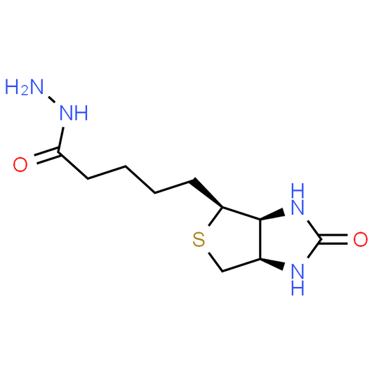 5-((3aS,4S,6aR)-2-Oxohexahydro-1H-thieno[3,4-d]imidazol-4-yl)pentanehydrazide