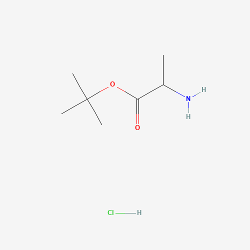 tert-Butyl alaninate HCl