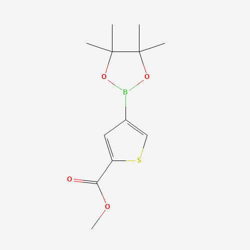 Methyl 4-(4,4,5,5-tetramethyl-1,3,2-dioxaborolan-2-yl)thiophene-2-carboxylate