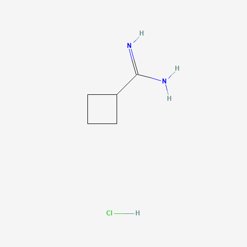 Cyclobutanecarboxamidine Hydrochloride