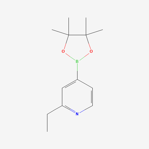 2-Ethyl-4-(4,4,5,5-tetramethyl-1,3,2-dioxaborolan-2-yl)pyridine