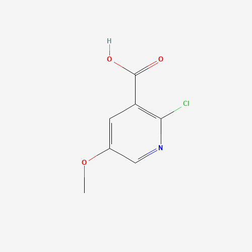 2-Chloro-5-methoxynicotinic acid