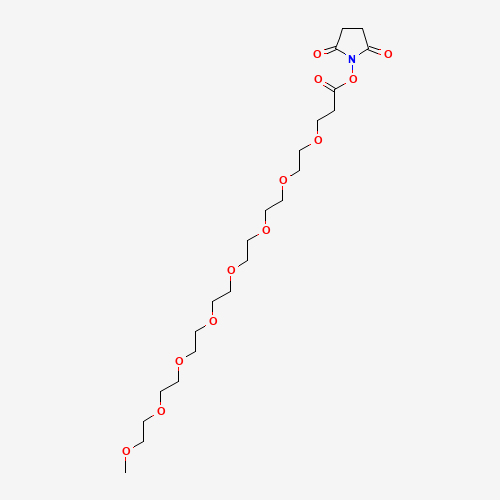 m-PEG8-NHS ester