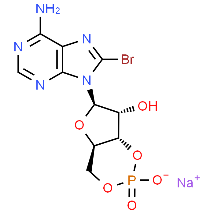 8-Bromo-cAMP sodium salt