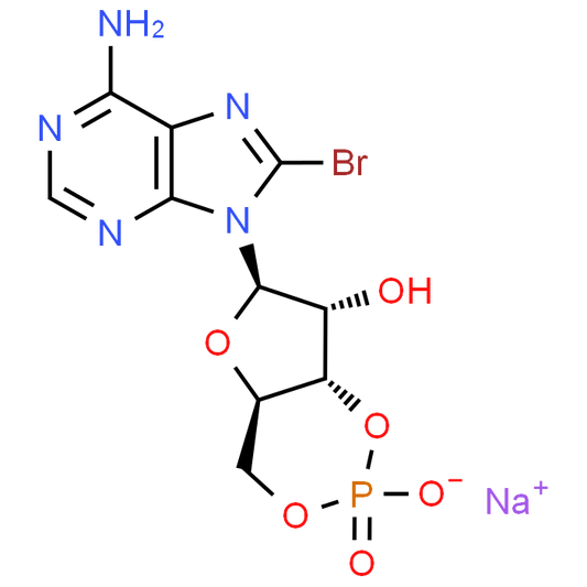 8-Bromo-cAMP sodium salt