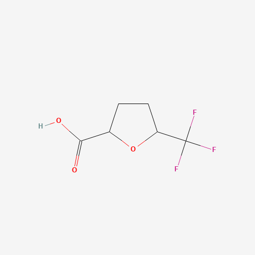 5-(Trifluoromethyl)oxolane-2-carboxylic acid