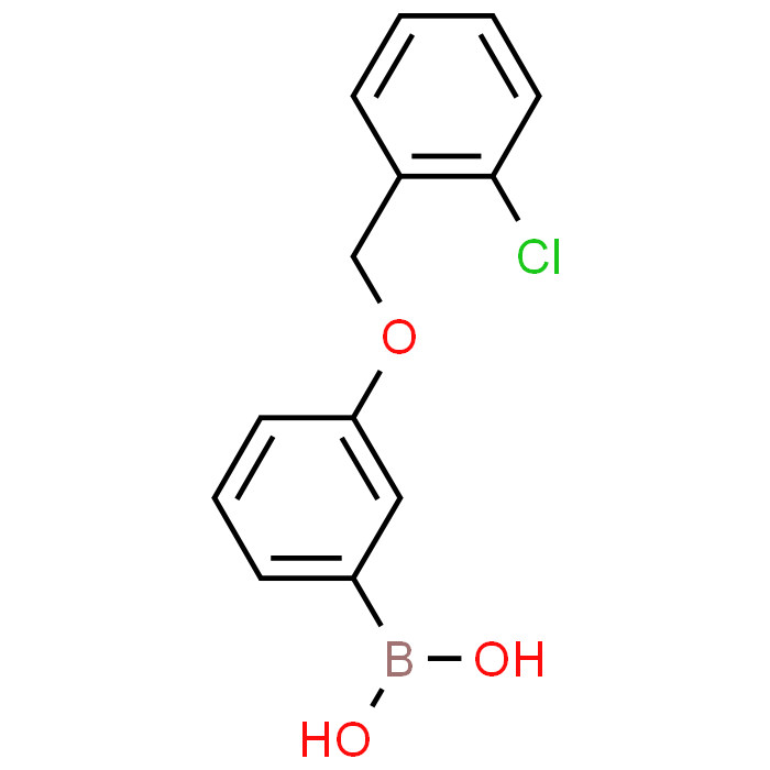 (3-((2-Chlorobenzyl)oxy)phenyl)boronic acid