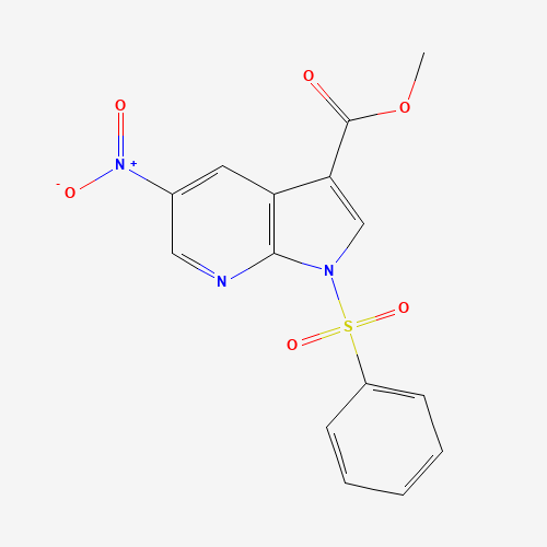 Methyl 5-nitro-1-(phenylsulfonyl)-1H-pyrrolo[2,3-b]pyridine-3-carboxylate