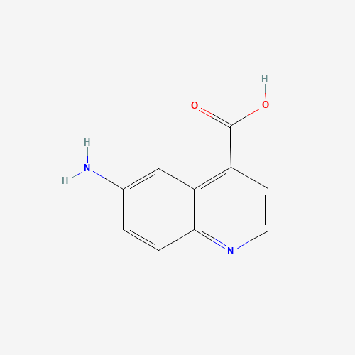6-Aminoquinoline-4-carboxylic acid