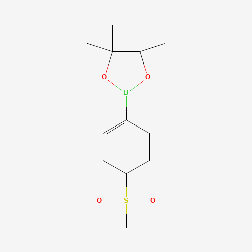 4,4,5,5-Tetramethyl-2-(4-(methylsulfonyl)cyclohex-1-en-1-yl)-1,3,2-dioxaborolane
