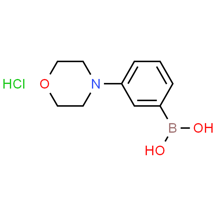 (3-Morpholinophenyl)boronic acid hydrochloride