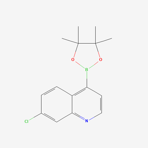 7-Chloro-4-(4,4,5,5-tetramethyl-1,3,2-dioxaborolan-2-yl)quinoline