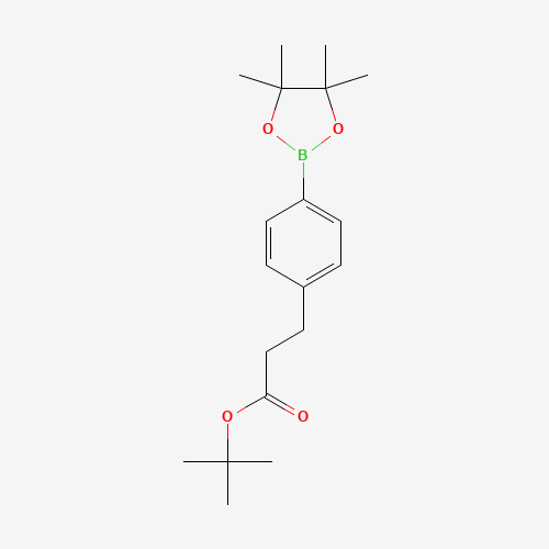 tert-Butyl 3-(4-(4,4,5,5-tetramethyl-1,3,2-dioxaborolan-2-yl)phenyl)propanoate