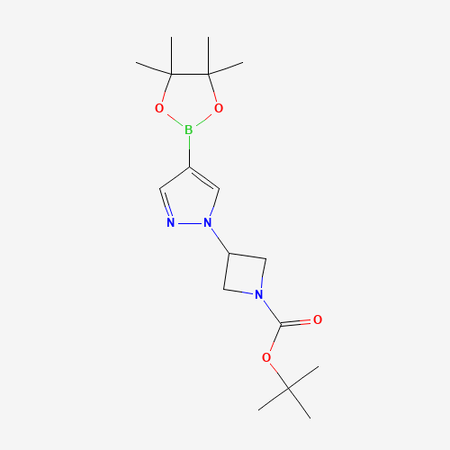 tert-Butyl 3-(4-(4,4,5,5-tetramethyl-1,3,2-dioxaborolan-2-yl)-1H-pyrazol-1-yl)azetidine-1-carboxylate
