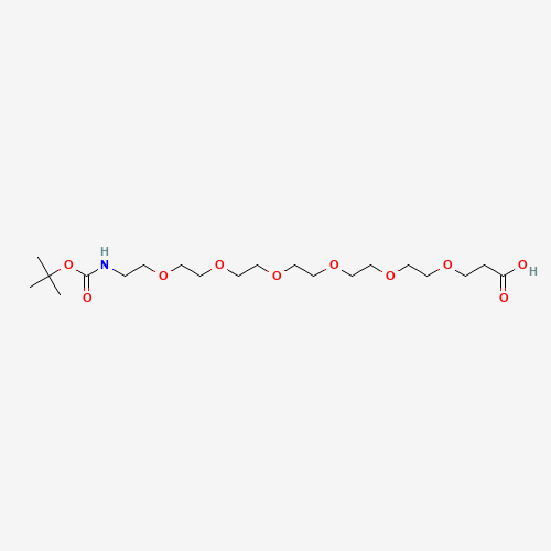 Boc-NH-PEG6-CH2CH2COOH