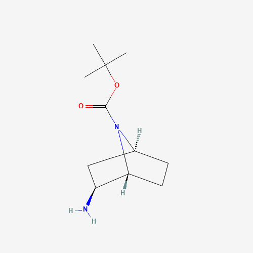 tert-Butyl (1R,2S,4S)-2-amino-7-azabicyclo[2.2.1]heptane-7-carboxylate