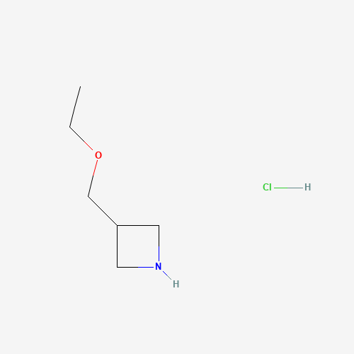 3-(Ethoxymethyl)azetidine hydrochloride