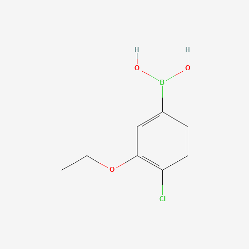 (4-Chloro-3-ethoxyphenyl)boronic acid