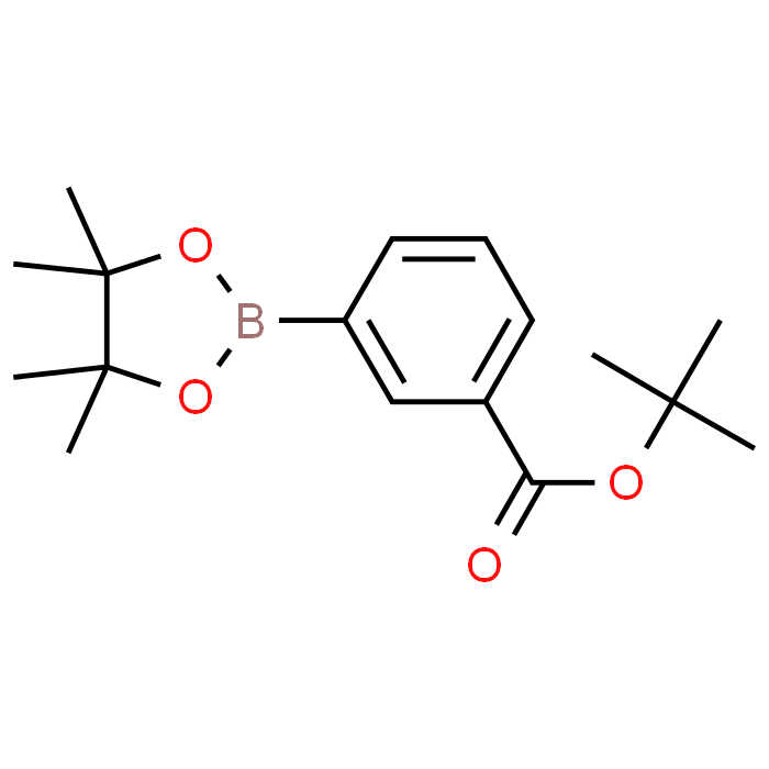 tert-Butyl 3-(4,4,5,5-tetramethyl-1,3,2-dioxaborolan-2-yl)benzoate