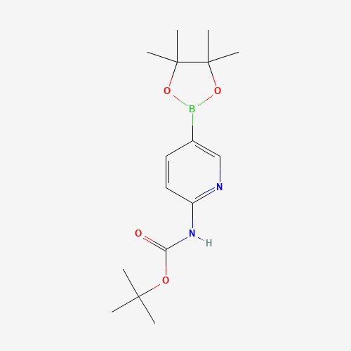 tert-Butyl (5-(4,4,5,5-tetramethyl-1,3,2-dioxaborolan-2-yl)pyridin-2-yl)carbamate