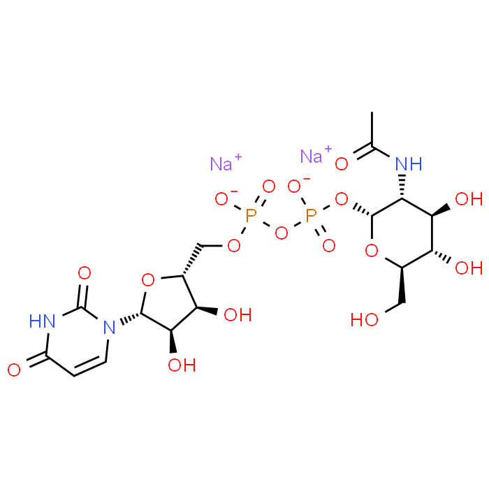 UDP-GlcNAc.2Na