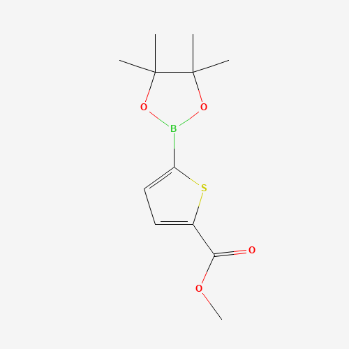Methyl 5-(4,4,5,5-tetramethyl-1,3,2-dioxaborolan-2-yl)thiophene-2-carboxylate