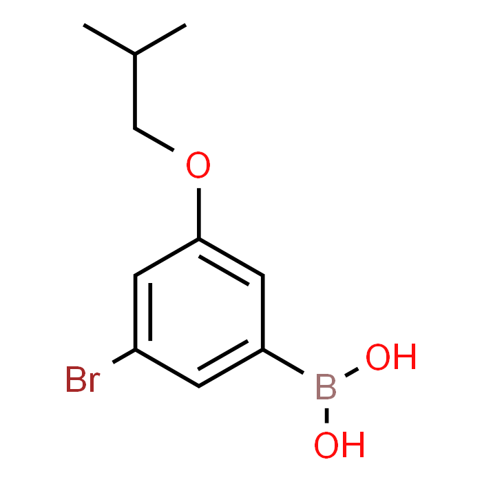 (3-Bromo-5-isobutoxyphenyl)boronic acid