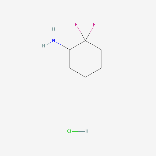 2,2-Difluorocyclohexanamine hydrochloride