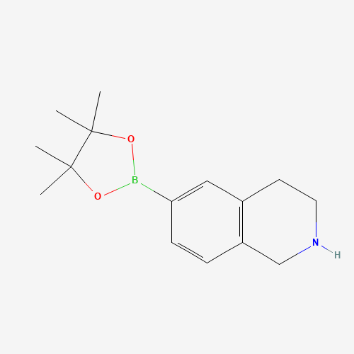 6-(4,4,5,5-Tetramethyl-1,3,2-dioxaborolan-2-yl)-1,2,3,4-tetrahydroisoquinoline