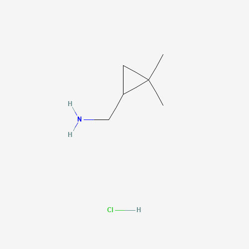 [(2,2-Dimethylcyclopropyl)methyl]amine hydrochloride
