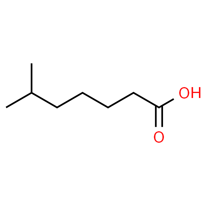 6-Methylheptanoic acid