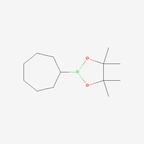 2-Cycloheptyl-4,4,5,5-tetramethyl-1,3,2-dioxaborolane