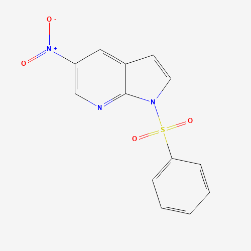 5-Nitro-1-(phenylsulfonyl)-1H-pyrrolo[2,3-b]pyridine