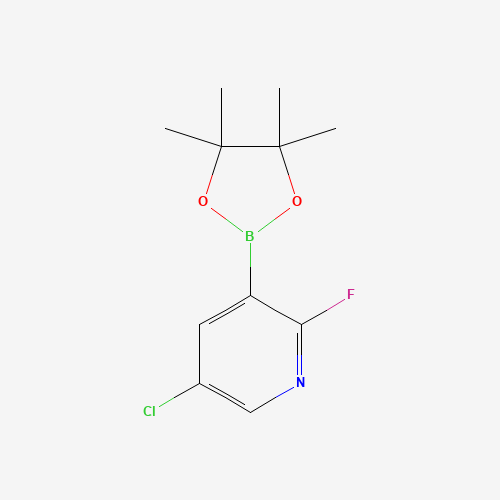 5-Chloro-2-fluoro-3-(4,4,5,5-tetramethyl-1,3,2-dioxaborolan-2-yl)pyridine