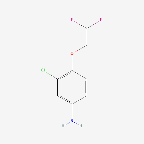 3-Chloro-4-(2,2-difluoroethoxy)aniline