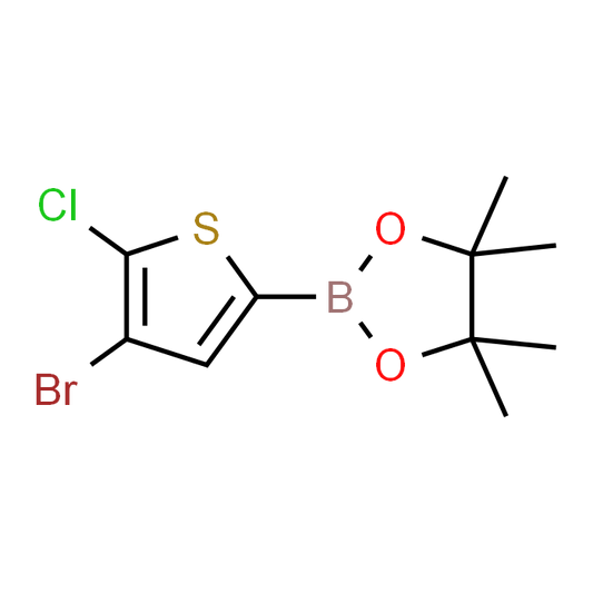 2-(4-Bromo-5-chlorothiophen-2-yl)-4,4,5,5-tetramethyl-1,3,2-dioxaborolane