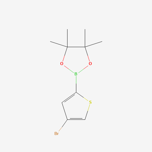 2-(4-Bromothiophen-2-yl)-4,4,5,5-tetramethyl-1,3,2-dioxaborolane